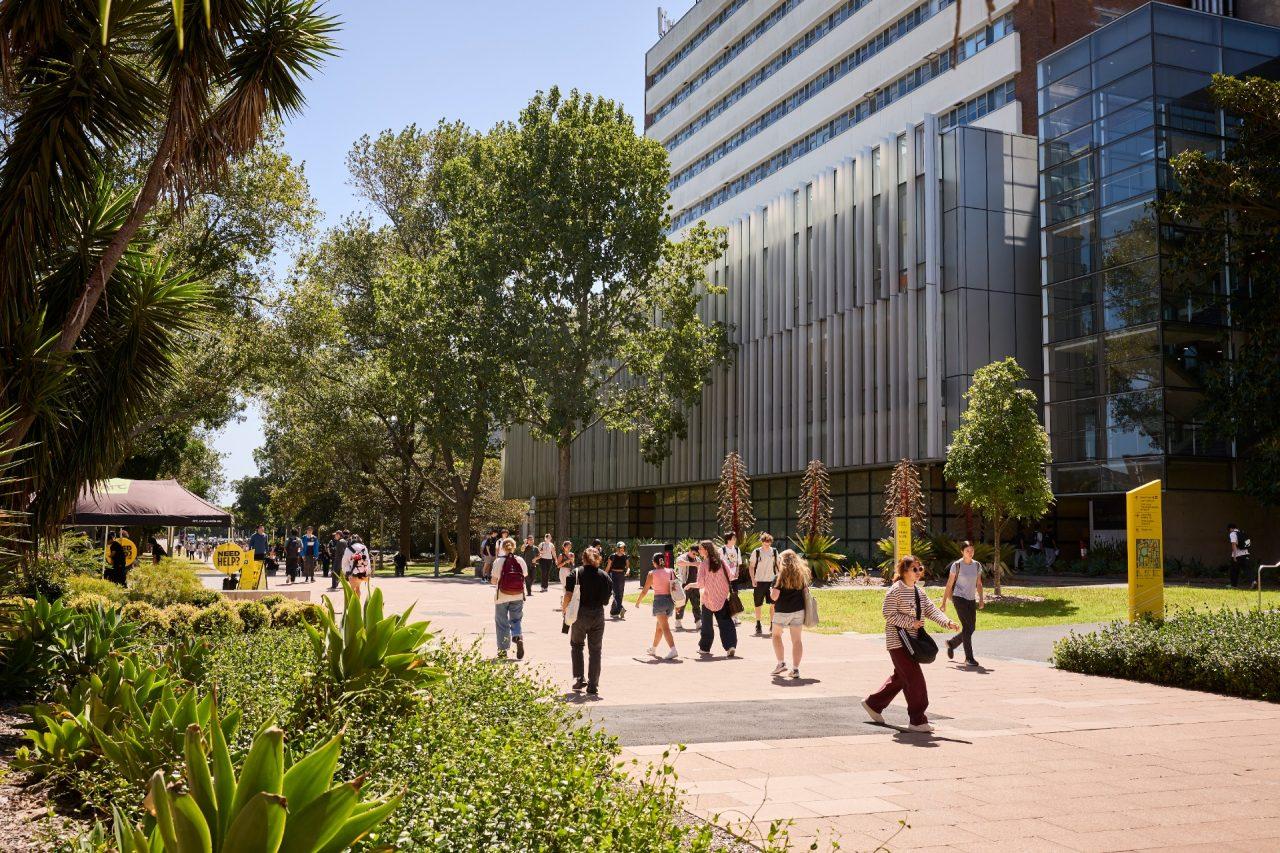 Students walking along a tree-lined pathway beside modern buildings at the UNSW Sydney campus.