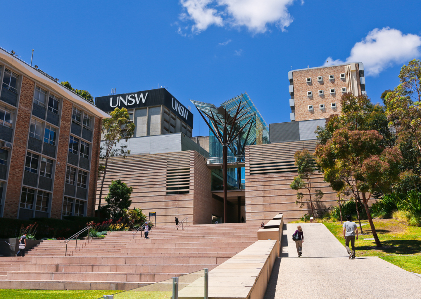 Wide steps leading to modern UNSW Sydney buildings beneath a bright blue sky.