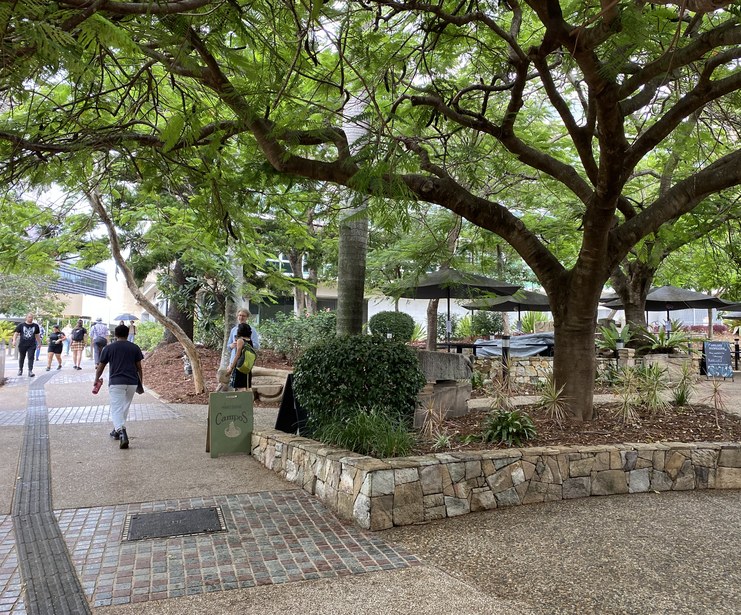Tree-lined walkway at the University of Queensland’s St Lucia campus, with students walking beside an outdoor café and landscaped garden beds.